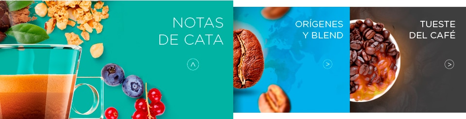 Notas de cata